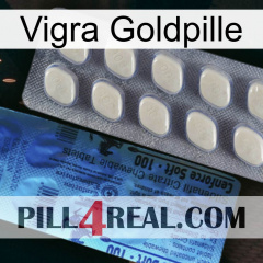 Vigra Gold Pill 34